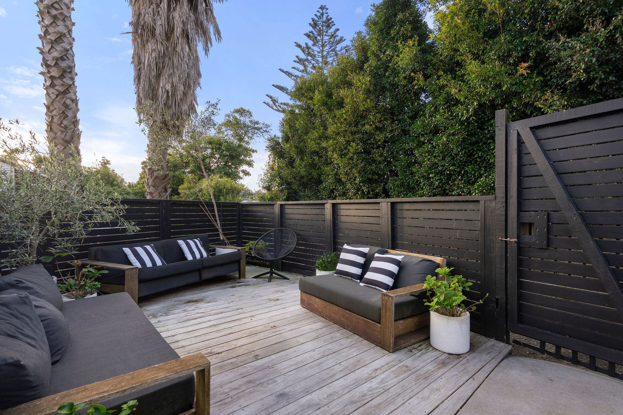 1_35NewHavenTerrace22